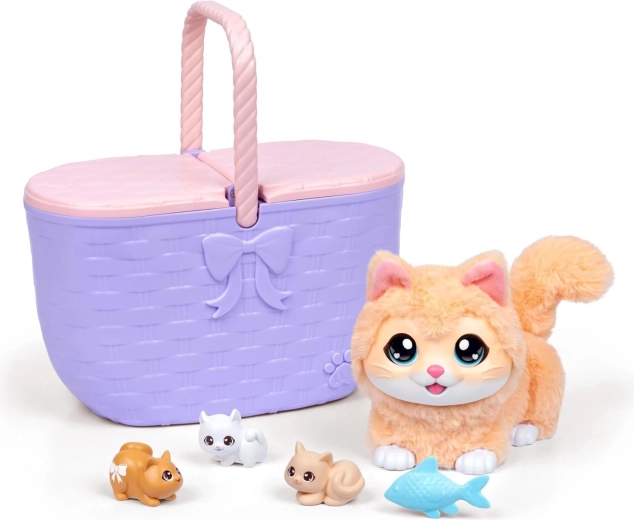 Prendre soin de l’adorable petit chat