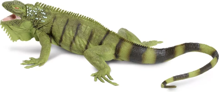 Safari Ltd. iguane vert