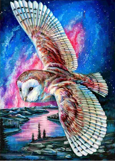Norimpex peinture diamant Hibou volant 30 × 40 cm