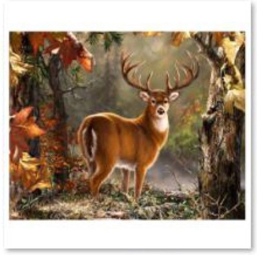 Peinture diamant (diamond painting) – cerf majestueux 40 × 30 cm
