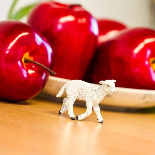 Un jeu qui favorise l’apprentissage de la nature