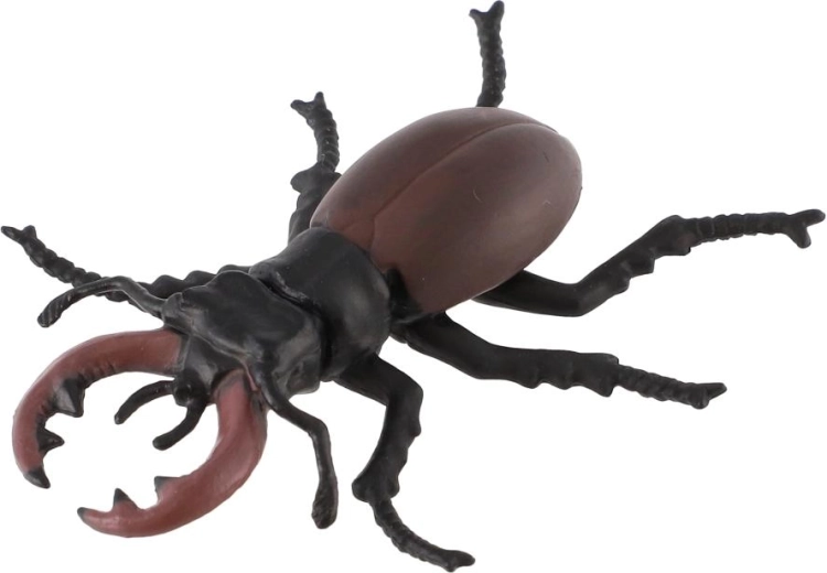 Mandibules imposantes du lucane