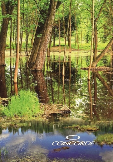 Carnet d’enregistrement A4 ligné 8 mm, 200 feuilles