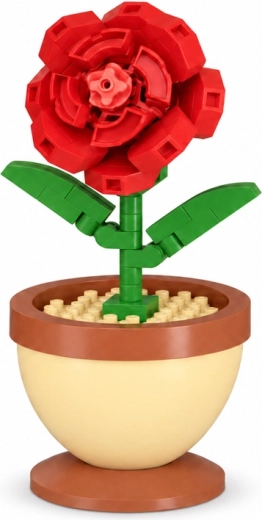 Rose rouge détaillée