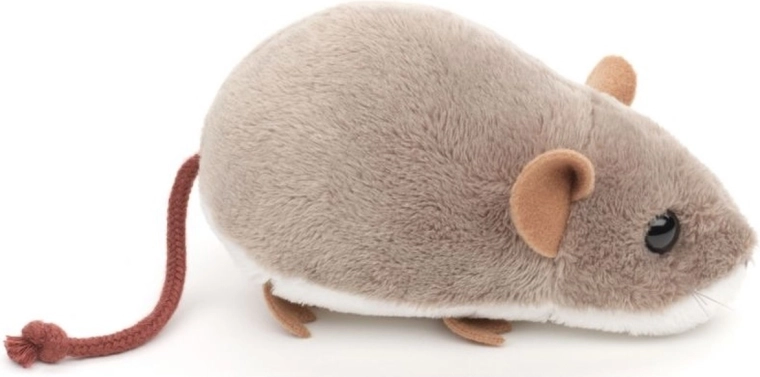 Dimensions compactes pour les voyages