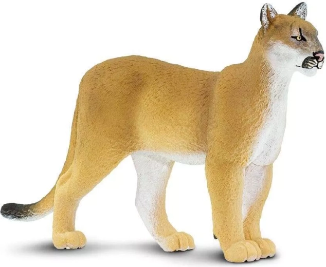Figurine de puma de Floride Safari Ltd. - 1 pièce