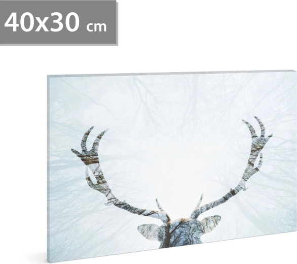 Tableau LED avec renne 40 × 30 cm
