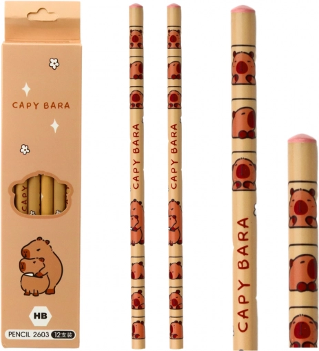 Set de crayons à croquis capybara 12 pièces