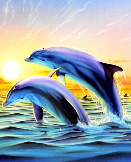 Norimpex Peinture par numéros Dauphins sautant 40 × 50 cm