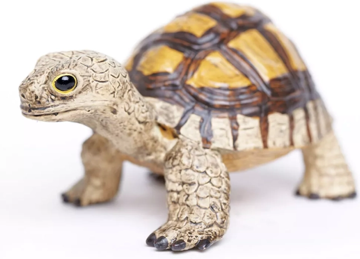 Apprendre en jouant avec la marque Safari Ltd.