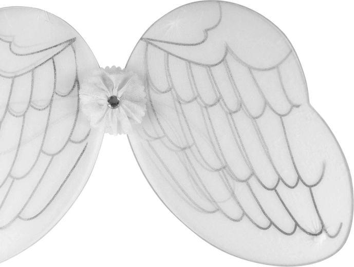 Décoration délicate des ailes