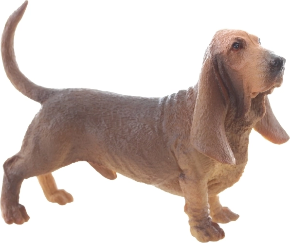 Finition réaliste du basset