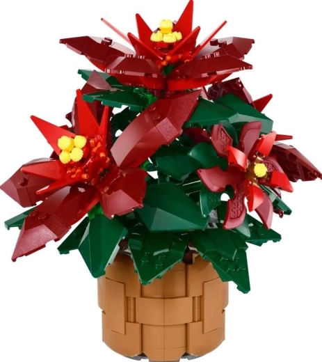 Poinsettia Grande Italia détaillée dans un pot de fleurs tressé