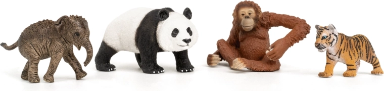 Set de démarrage Wild Life Asie