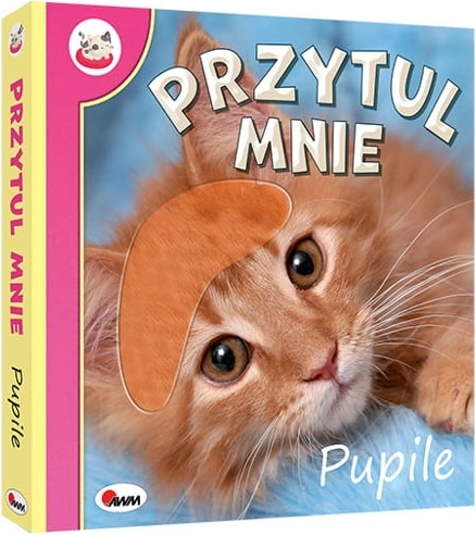 Regarde et touche avec moi : animaux de compagnie – livre sensoriel tactile pour tout-petits