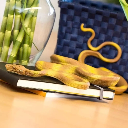 Long corps pour un agencement naturel