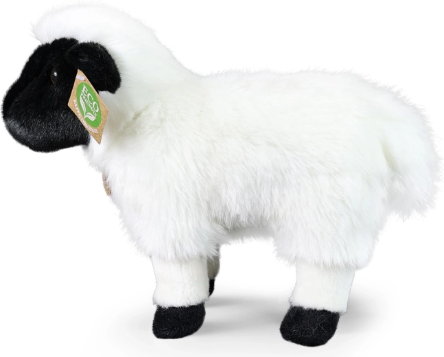 Peluches douces et soyeuses pour des câlins sans fin