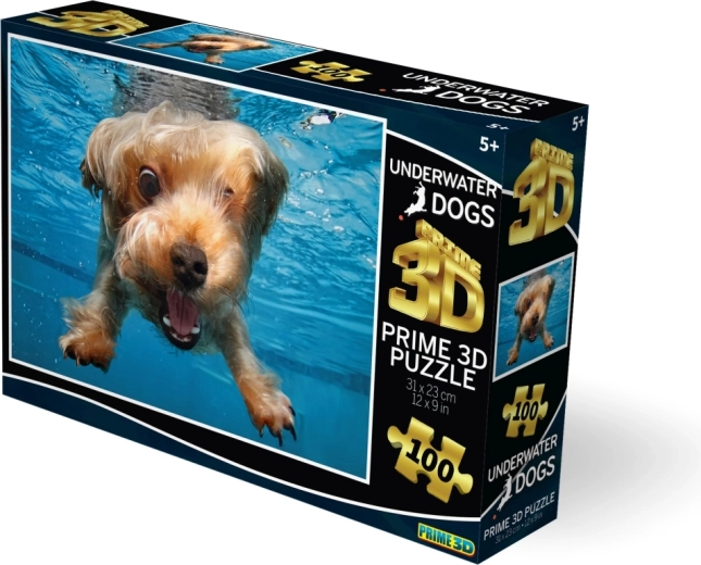 Un effet 3D réaliste qui donne vie à l’image