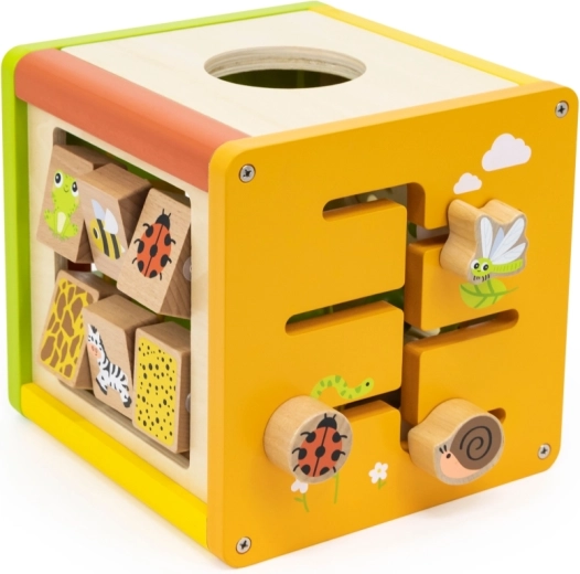 Cinq activités de jeu dans un seul cube
