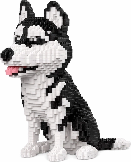Apparence 3D réaliste du husky