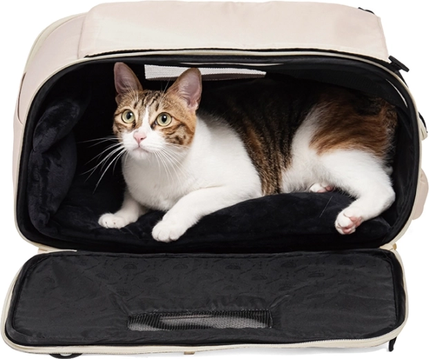 Confort et sécurité pour votre compagnon en voyage