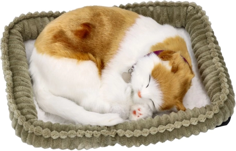 Perfect Petzzz chaton respirant Soriano 3+