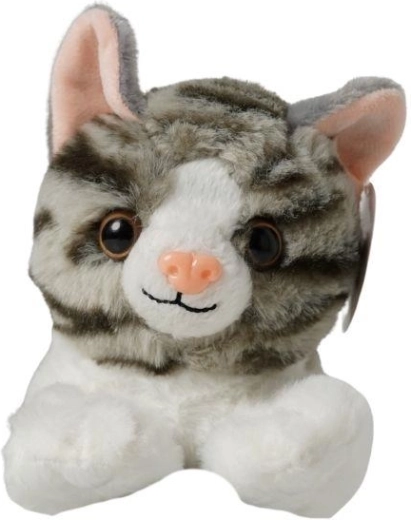 Finition détaillée du visage