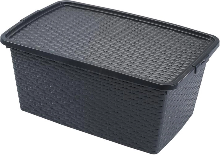 Boîte de rangement en plastique Heidrun avec couvercle, style rotin, 40 l