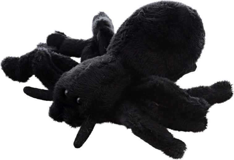 Taille compacte 14 cm