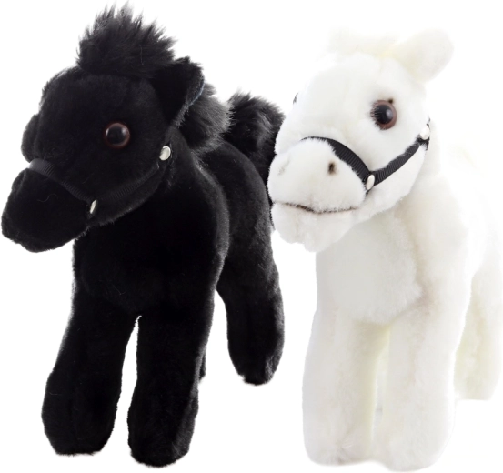 Deux couleurs élégantes