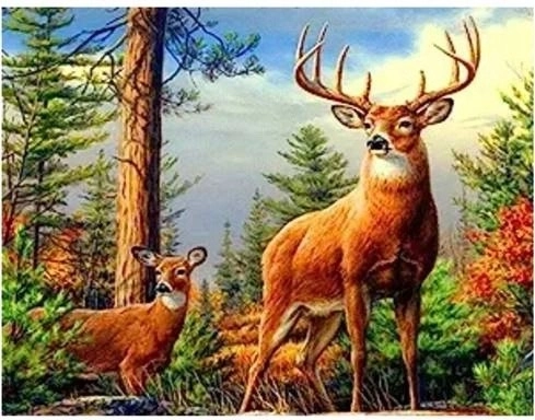 Norimpex peinture diamant cerf dans les montagnes 30 × 40 cm