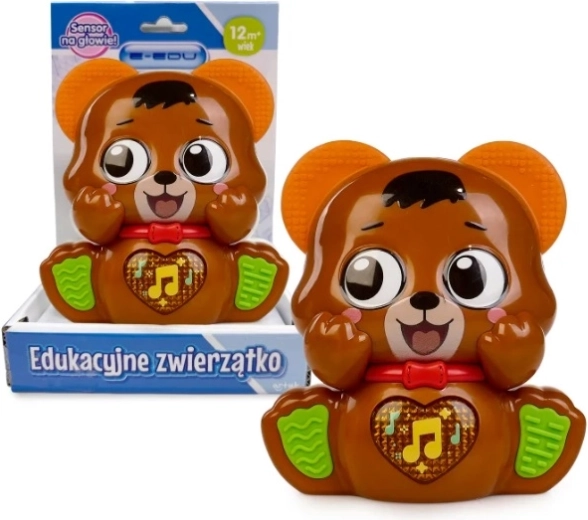 E-edu ourson musical