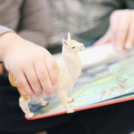 Idéale pour jouer, apprendre et collectionner