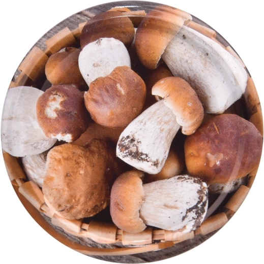 Lot de 10 pièces pour petites et moyennes fournées