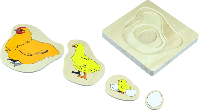 Cycle de vie du poussin – puzzle en bois multicouche