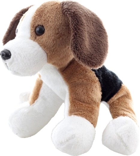 Détails adorables du beagle