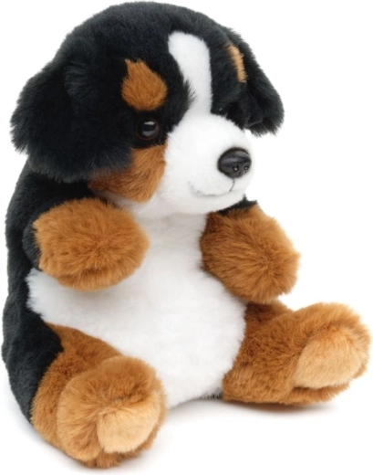 Sûr dès la naissance