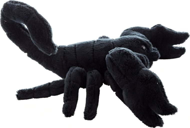 Taille pratique de 25 cm