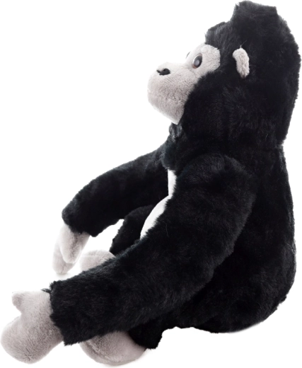 Taille compacte et polyvalente