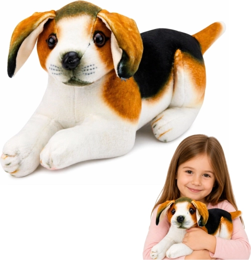 Chien beagle en peluche 25 cm