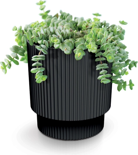 Favorise une croissance saine grâce au drainage