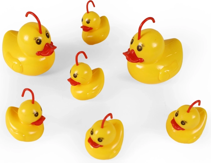 Sept canards avec anneau