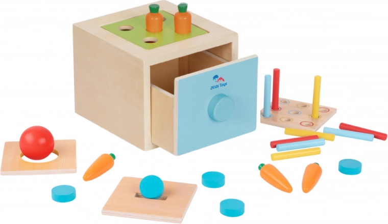 2Kids Toys Jouet d’insertion multifonction en bois