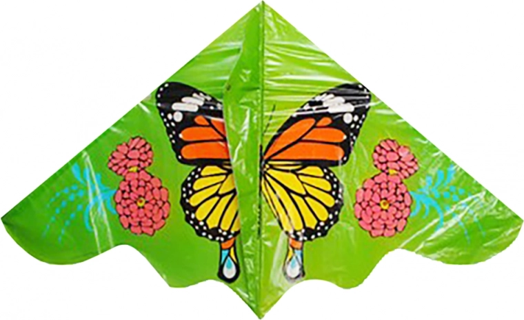 Cerf-volant Papillon 60 × 116 cm