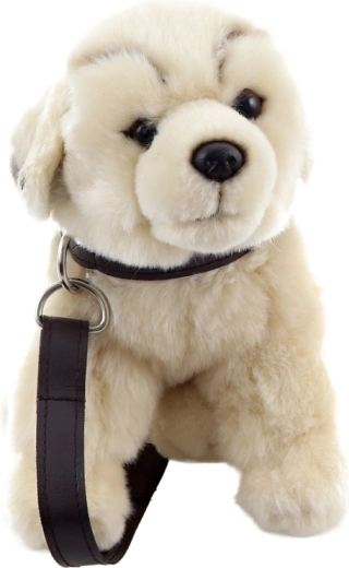 Jeu de promenade grâce au collier et à la laisse