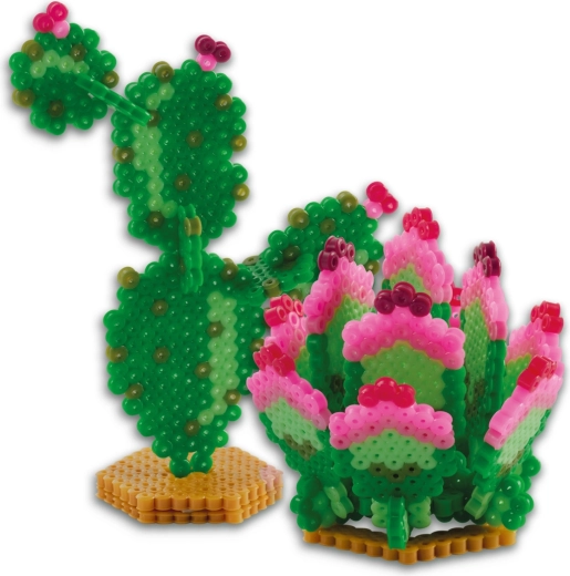 Effet 3D pour des cactus et succulentes saisissants
