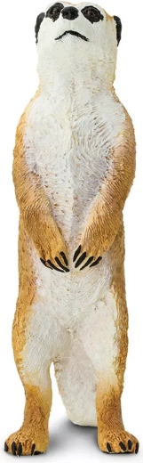 Matériau sûr et non toxique