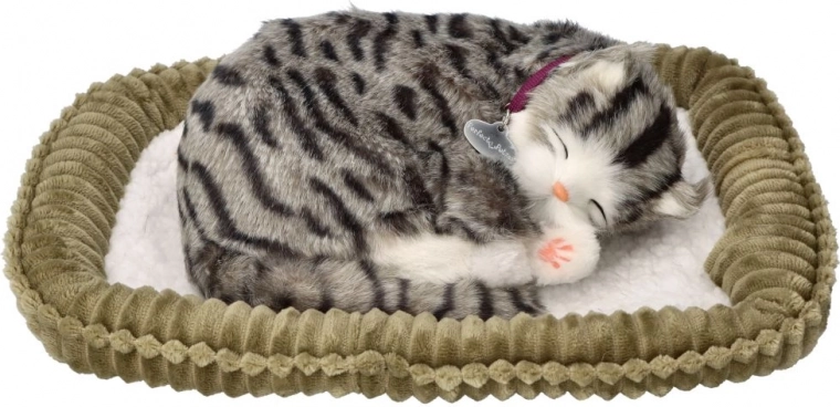 Chaton en peluche respirant – tigré gris