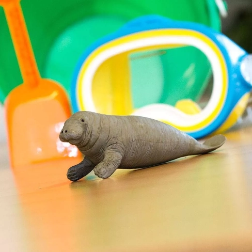 Taille idéale pour la main d’un enfant et pour l’exposition