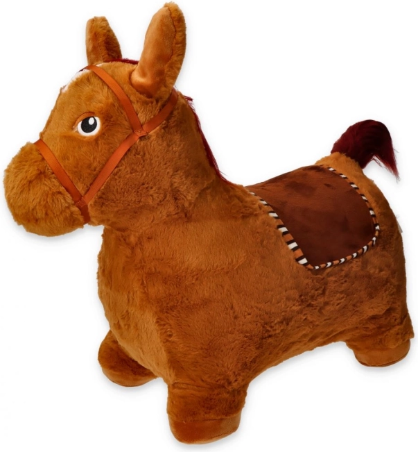 Cheval sauteur avec housse et pompe